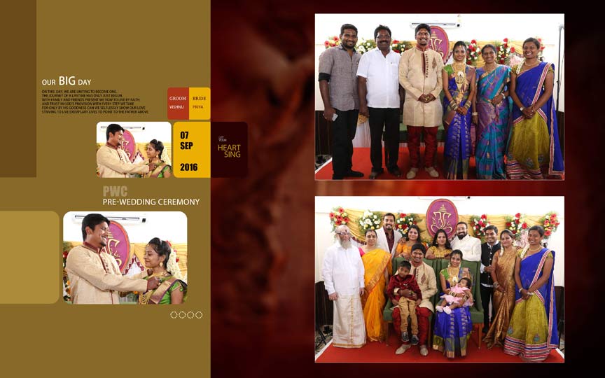 Priya and Vishnu's Pre wedding Event Photography